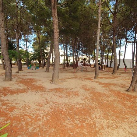 Family Seafront Apt Fantastic Seaview Pollença Exteriér fotografie